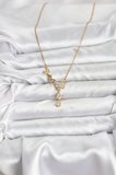 Tegan 316L Çelik Zincir Gold Renk Kelebek Model Kadın Kolye TG27BKO11104