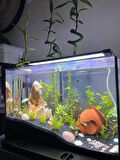 SHARK AKVARYUM ARMATÜR 135 CM ( 140-145 CM UYUMLU ) 3 SIRA LEDLİ 6435 LÜMEN