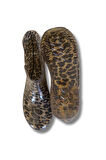 Potin Kadın Yağmur Botu 36-40 Leopar