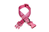 Dokuma Köpek Boyun Tasması 2 cm x 30-45 cm Mor