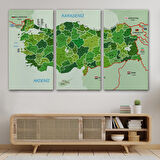 Harita Sepeti Türkiye Haritası Kanvas Tablo İl ve İlçeli Ayrıntılı Eğitici Komşulu Tablo 3007