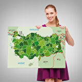 Harita Sepeti Türkiye Haritası Kanvas Tablo İl ve İlçeli Ayrıntılı Eğitici Komşulu Tablo 3007