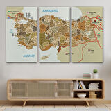 Harita Sepeti Türkiye Haritası Kanvas Tablo İl ve İlçeli Ayrıntılı Eğitici Komşulu Dekoratif Tablo 3020