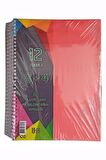 8+4 Ayraçlı Defter 12 Konulu 300 Yaprak 1 Adet 8 Kareli 4 Çizgili Spralli Plastik Kapak Seperatörlü