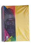 6+3 Ayraçlı Defter 9 Konulu 225 Yaprak 1 Adet 6 Kareli 3 Çizgili Spralli Plastik Kapak Seperatörlü