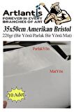 Amerikan Bristol Karton 35x50 cm 10 Adet 220 gr Bir Tarafı Parlak Bir Tarafı Mat Kağıt Biristol Karton