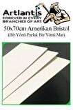 Amerikan Bristol Karton 35x50 cm 25 Adet 220 gr Bir Tarafı Parlak Bir Tarafı Mat Kağıt Biristol Karton