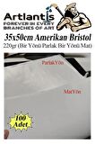 Amerikan Bristol Karton 35x50 cm 100 Adet 220 gr Bir Tarafı Parlak Bir Tarafı Mat Kağıt Biristol Karton