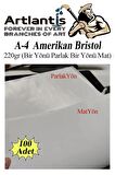 A4 Amerikan Bristol Karton 21x29.7 cm 100 Adet 220 gr Bir Tarafı Parlak Bir Tarafı Mat Kağıt Biristol Karton