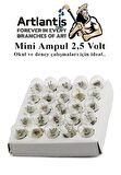 Mini Ampul 2,5 Volt 5 Adet 1 Paket Küçük Elektrik Deney Ampulü 2.5 v Okul Sınıf Elektrik Devre Deney Ampulü