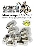 Mini Ampul 2,5 Volt 10 Adet 1 Paket Küçük Elektrik Deney Ampulü 2.5 v Okul Sınıf Elektrik Devre Deney Ampulü