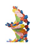 Dna Modeli 1 Paket Evadan DNA Yapım Seti Dna Saemalı Deney Yapım Seti Okul Materyali