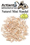 Naturel Mini Mandal Ahşap 50 Adet Renksiz Minik Mandal Dekoratif Süsleme Fotoğraf Asma Mandalı Dekarasyon