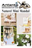 Naturel Mini Mandal Ahşap 150 Adet Renksiz Minik Mandal Dekoratif Süsleme Fotoğraf Asma Mandalı Dekarasyon
