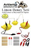 Elektrik Limon Deney Seti 3 Paket Limondan Elektrik Üretme Seti Limon Pili Fen Bilgisi Dersi Kimyasal Enerji