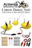 Elektrik Limon Deney Seti 3 Paket Limondan Elektrik Üretme Seti Limon Pili Fen Bilgisi Dersi Kimyasal Enerji