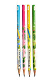 Kaktüs Yuvarlak Kurşun Kalem 4 Adet 1 Paket Faber Kurşun Kalem 2B Siyah Kurşun Kalem Kaktüs Desenli 2B Kalem