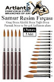 Resim Fırçası 4 Numara 5 li 1 Paket Samur Yuvarlak Uçlu Fırça Seti Guaj Sulu Akrilik Yağlı Boya Fırçaları