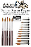 Resim Fırçası 7 Numara 5 li 1 Paket Samur Yuvarlak Uçlu Fırça Seti Guaj Sulu Akrilik Yağlı Boya Fırçaları
