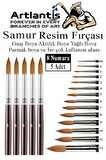 Resim Fırçası 8 Numara 5 li 1 Paket Samur Yuvarlak Uçlu Fırça Seti Guaj Sulu Akrilik Yağlı Boya Fırçaları