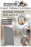 Linol Tabaka Levhası A4 20X30 cm 2mm Gri 1 Adet Linolyum Tabaka Gri Linol Muşamba Baslı Levha