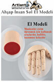 Ahşap Sol El Modeli 25 cm 1 Adet Sol El Maketi Bayan Ahşap Manken Sol El Parmak Model Hareketli Esnek Eskiz Çizim Boyama