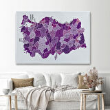 Harita Sepeti Türkiye Haritası Kanvas Tablo İl ve İlçeli Ayrıntılı Eğitici Dekoratif Tablo 3025