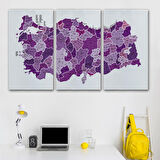 Harita Sepeti Türkiye Haritası Kanvas Tablo İl ve İlçeli Ayrıntılı Eğitici Dekoratif Tablo 3025