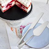 Çelik Silver Pasta Spatula Bıçak Seti Kek Sunum cin512by