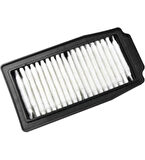 Suzuki GW 250 İnazuma Hava Filtresi