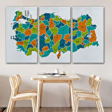 Harita Sepeti Türkiye Haritası Kanvas Tablo İl ve İlçeli Ayrıntılı Eğitici Dekoratif Tablo 3043