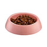 Büro Ev Evcil Hayvanı için Mini Oval Kedi Köpek Mama Kabı