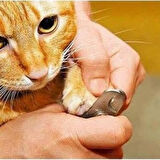 Büro Ev Evcil Hayvanı için Kaymaz Sap Kedi Köpek Tırnak Makas Törpü Seti