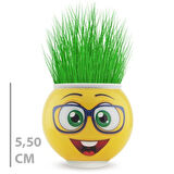 Büro Ev Ofis Dekoru için Emoji Figürlü Çim Adam Saksı
