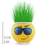 Büro Ev Ofis Dekoru için Emoji Figürlü Çim Adam Saksı