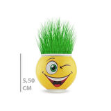 Büro Ev Ofis Dekoru için Emoji Figürlü Çim Adam Saksı