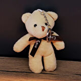 Büro Ev Ofis Hediyesi için Kese İçinde Ayıcık