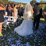 Büro Ev Ofis Etkinik Süsleri için 100ADET Beyaz Gül Yaprağı Paketi