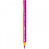 Bic Kids Evolution Üçgen Jumbo Kurşun Kalem 2li Blister