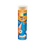 BİC Evolution Kuru Boya Kalemi 24+1 Metal Tüp