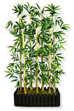 Bambu Seperatör 7 Adet Bambu Yoğun Yaprak 120 Cm ( 54x20x120)