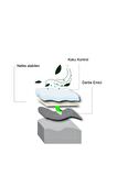 BG192 | Yumuşak Masaj Noktalı, Memory Foam Ayakkabı Tabanı, Klasik Ayakkabılar İçin İç Tabanlık