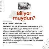 Etrofil Blue Faced Leicester Wool 75178 Deep Ocean