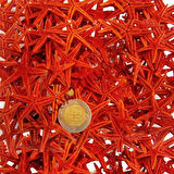 Naturel Deniz Yıldızı Minik Boy 0.5 Cm -1.5 Cm (100 Adet)  Kırmızı