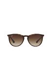 Ray-Ban 4171 / 865/13 Unisex Güneş Gözlüğü