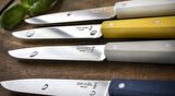OPINEL OP-002040 4'LÜ SOFRA BIÇAĞI N°125 CELESTE