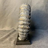 Uretti - Zehra 2303 - El Yapımı Dekoratif Deniz Kabuğu - Gri