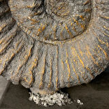 Uretti - Zehra 2303 - El Yapımı Dekoratif Deniz Kabuğu - Gri