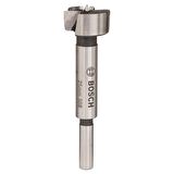 Bosch Menteşe Açma Ahşap Matkap Ucu 25 mm - 2608596974