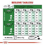Royal Canin Mini Adult Köpek Maması 2 kg + 2 Adet Yaş Mama Hediye